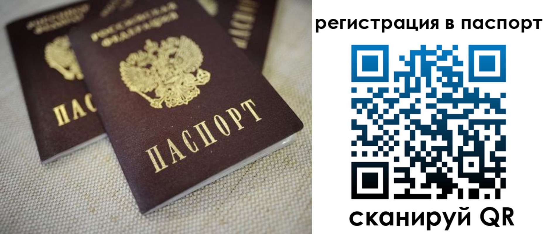 прописка гарантия в Боготоле